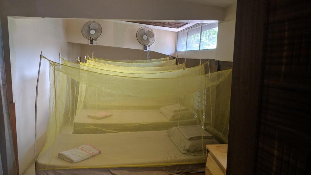 Zimmer mit einem Bett mit einem Netz in der Unterkunft Cebu Pungko-pungko Hostel in Cebu City