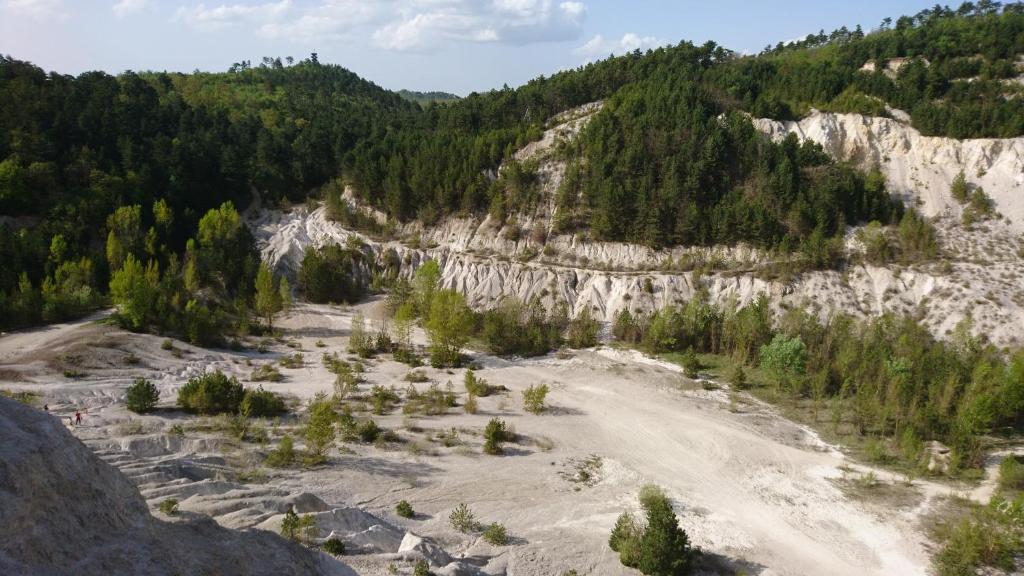 Przyroda w pobliżu tego apartamentu