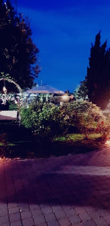 Zahrada ubytování Elegance B&B