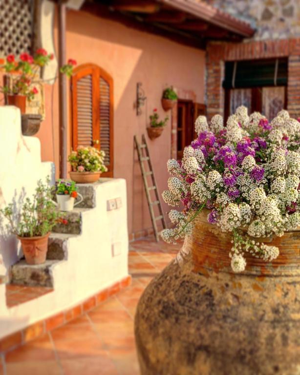 Ogród w obiekcie B&B Villa Vittoria
