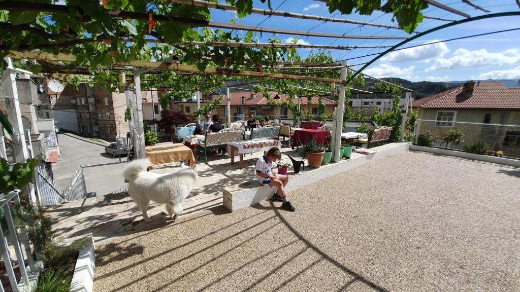 Fotografie z fotogalerie ubytování Ilir Guest House 1 v destinaci Përmet