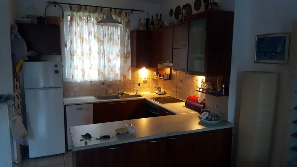 Kuchyň nebo kuchyňský kout v ubytování Villa Georgia Poseidi