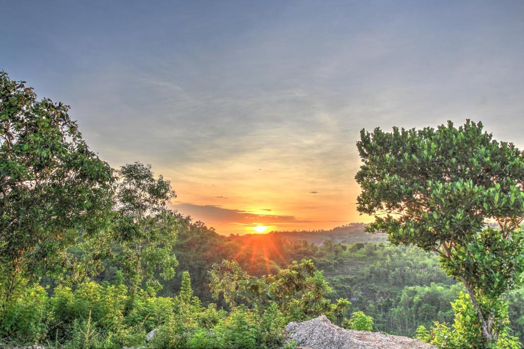 a sunset in a forest with trees in the foreground at Ayu Hill Bungalows in Nusa Penida