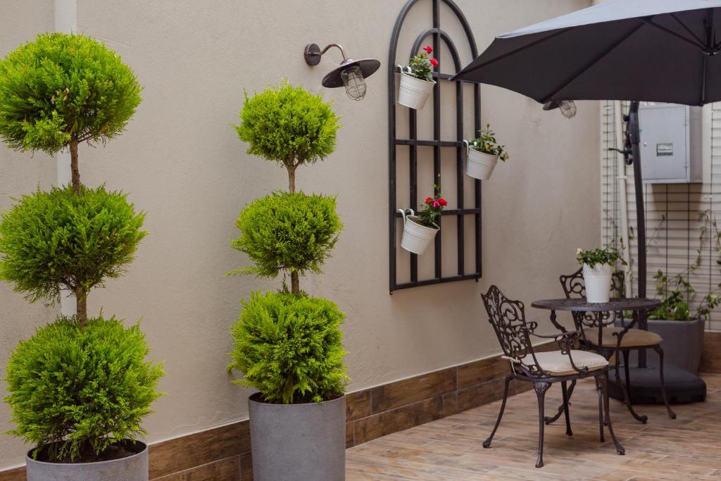 Zahrada ubytování Hotel BLOOM Batumi