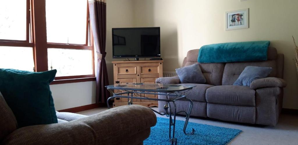 a living room with a couch and a tv at Culduthel Vista Apartment in Inverness