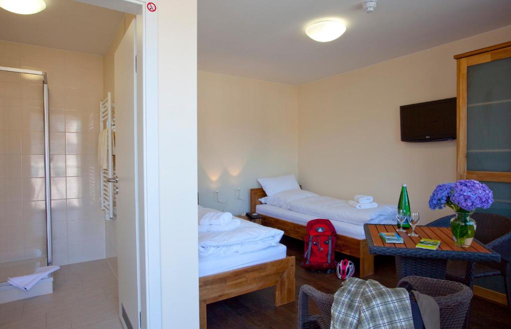 Hotel Prinz Albrecht - Chambre Lits Jumeaux Basique Annexe