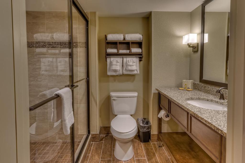 Koupelna v ubytování La Quinta by Wyndham Pigeon Forge