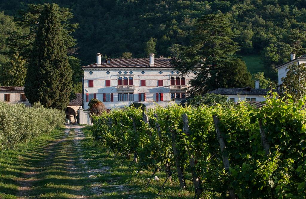 a large white building in the middle of a vineyard at Villa Premoli - Agriturismo di charme in Cavaso del Tomba