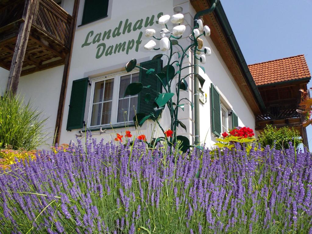 Zahrada ubytování Landhaus Dampf