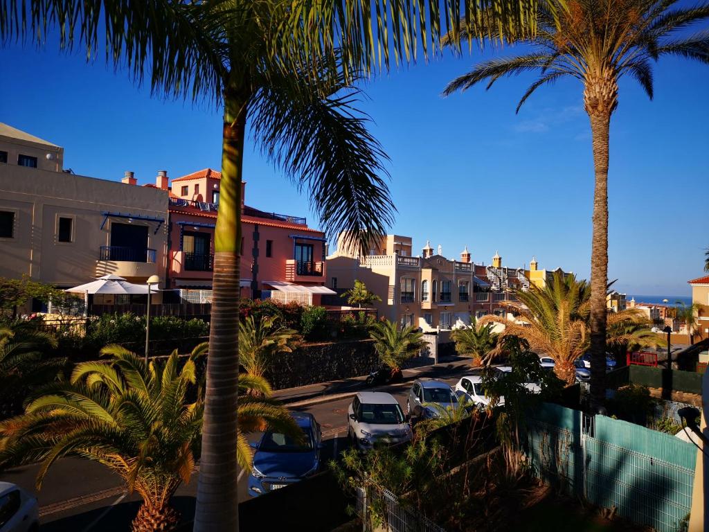 a group of palm trees in a parking lot at Beautiful Apartment in Palm-Mar