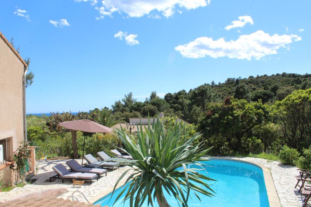 a villa with a swimming pool and lounge chairs at Villa Alexandra in La Croix-Valmer