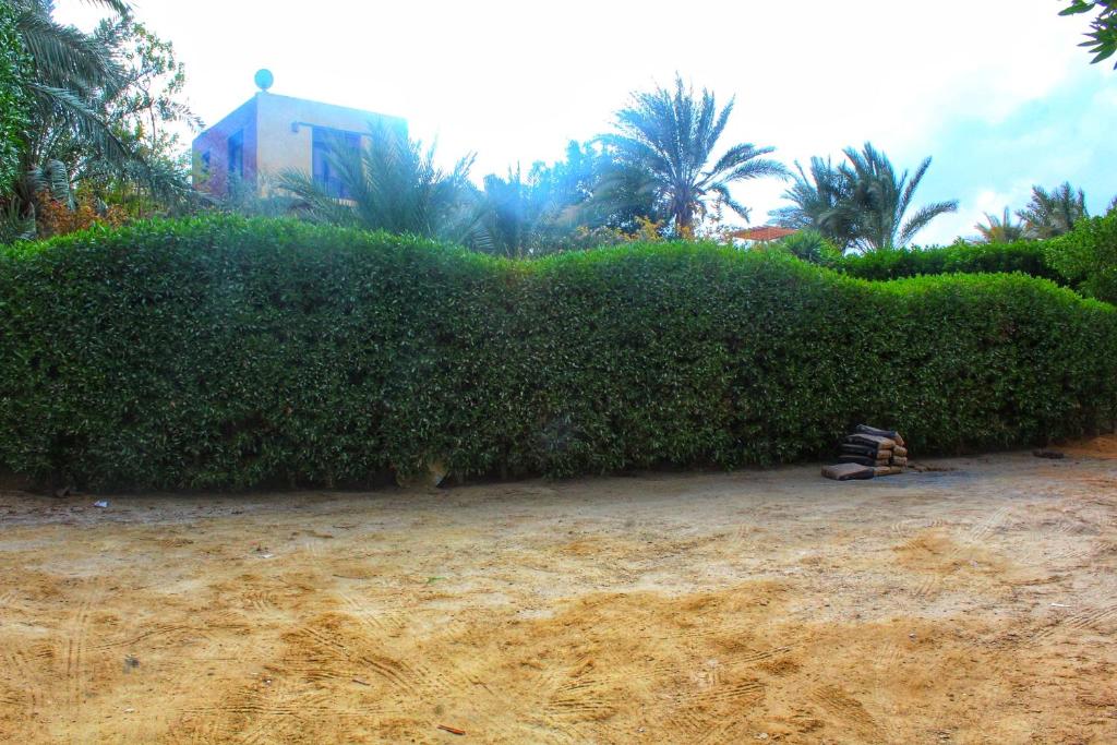 Zahrada ubytování villa tunis village