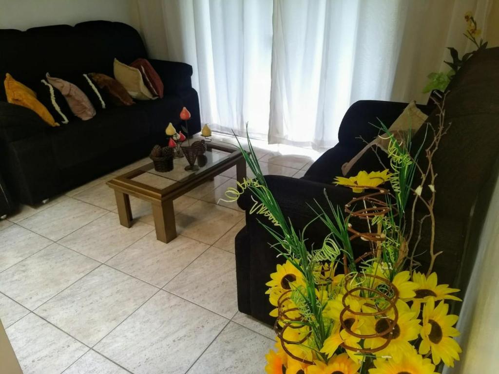  Casa - ótima hospedagem (jardim e terraço)