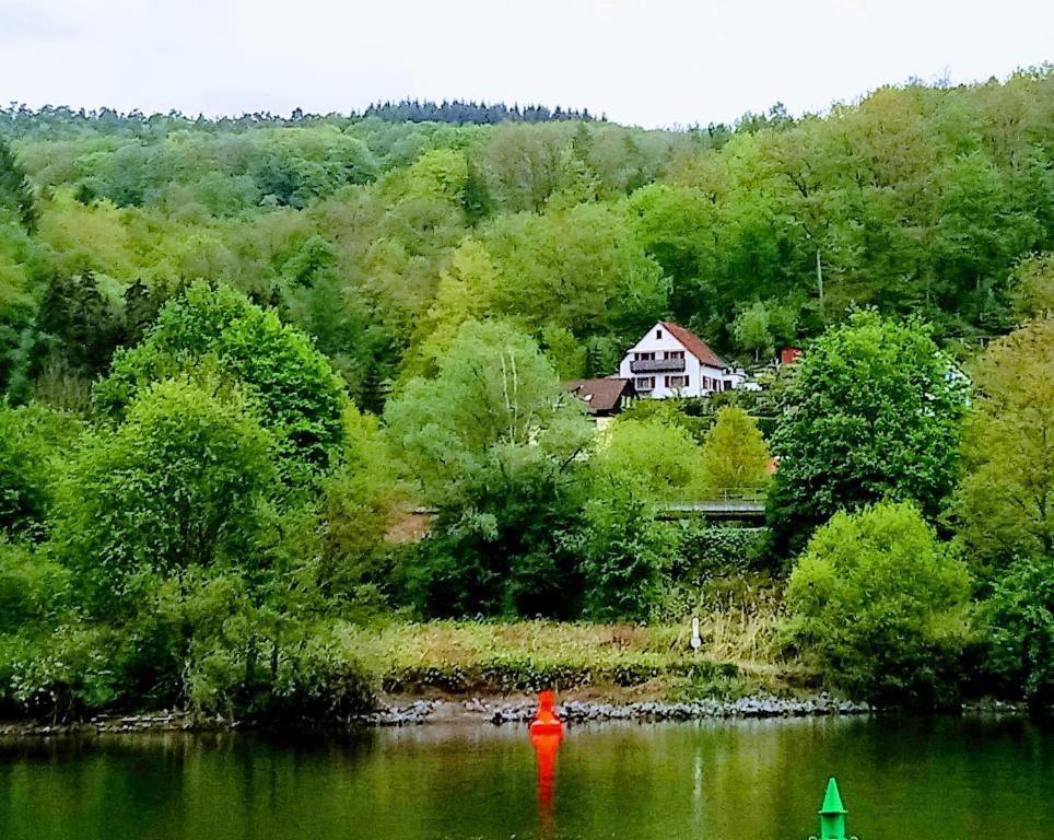 una casa sulla riva di un lago con un oggetto rosso di Casa la Collina delle Ginestre a Eberbach