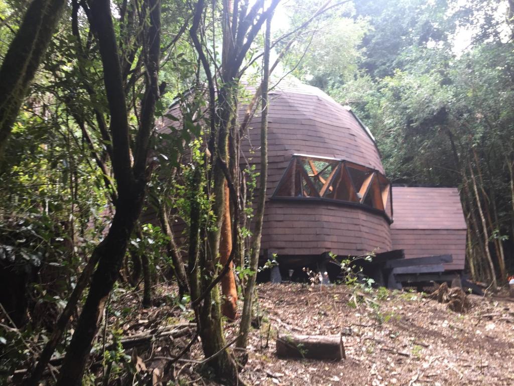 Foto dalla galleria di Domos Hijos del Bosque a Coñaripe