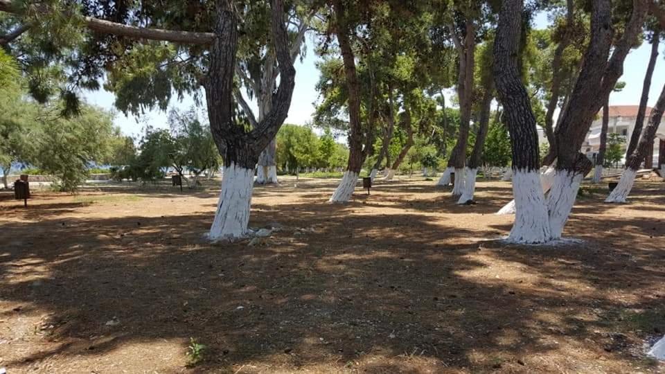 Zahrada ubytování Ενοικιαζόμενα Δωμάτια Πιτσαδιώτη