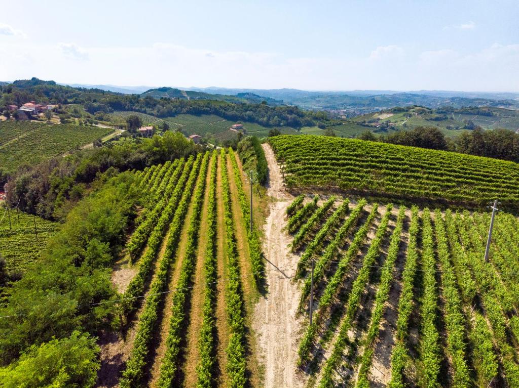 Zdjęcie z galerii obiektu Tenuta Valdorso - Agri Resort w mieście Montechiaro D'acqui
