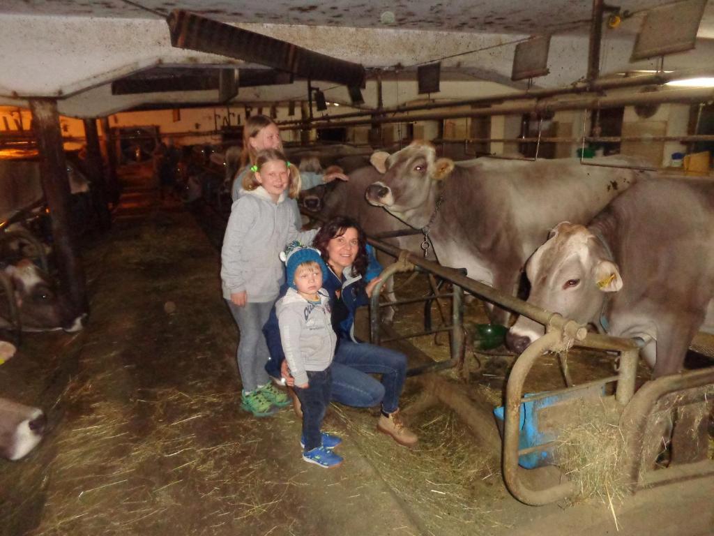 Zwierzęta w gospodarstwie agroturystycznym lub w pobliżu