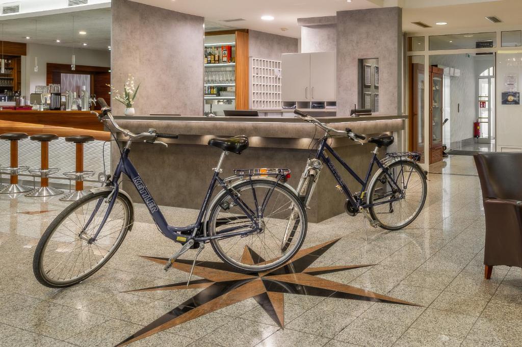 Jazda na bicykli v okolí ubytovania City Hotel Stockerau