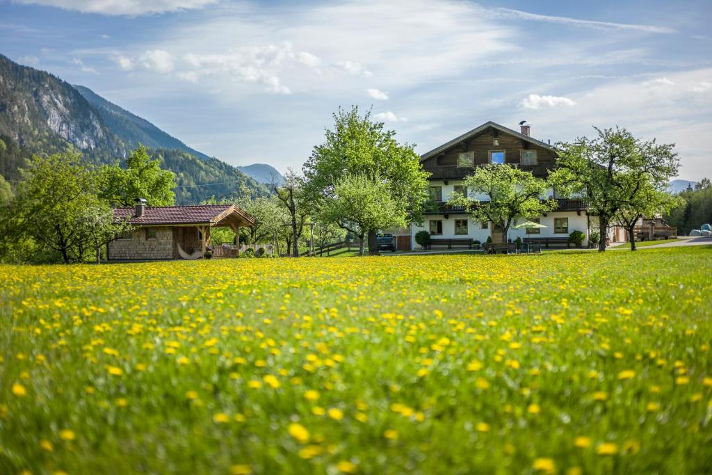 a field of yellow flowers in front of a house at Windhaghof in Kramsach