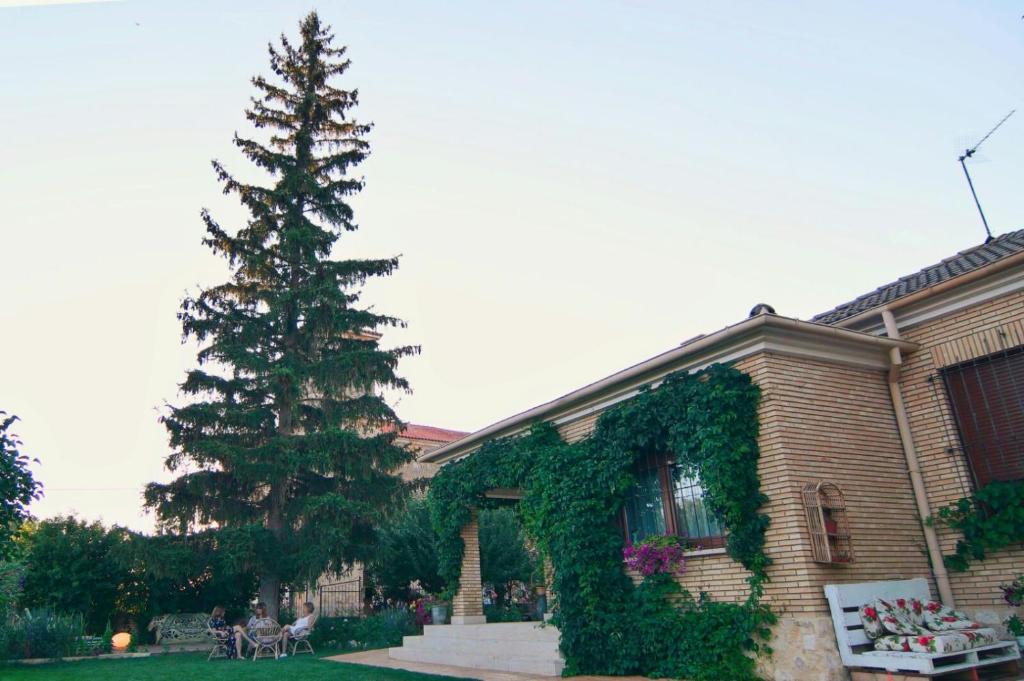 uma casa com uma árvore de Natal em frente em El Quinto Pino em Santibáñez del Val