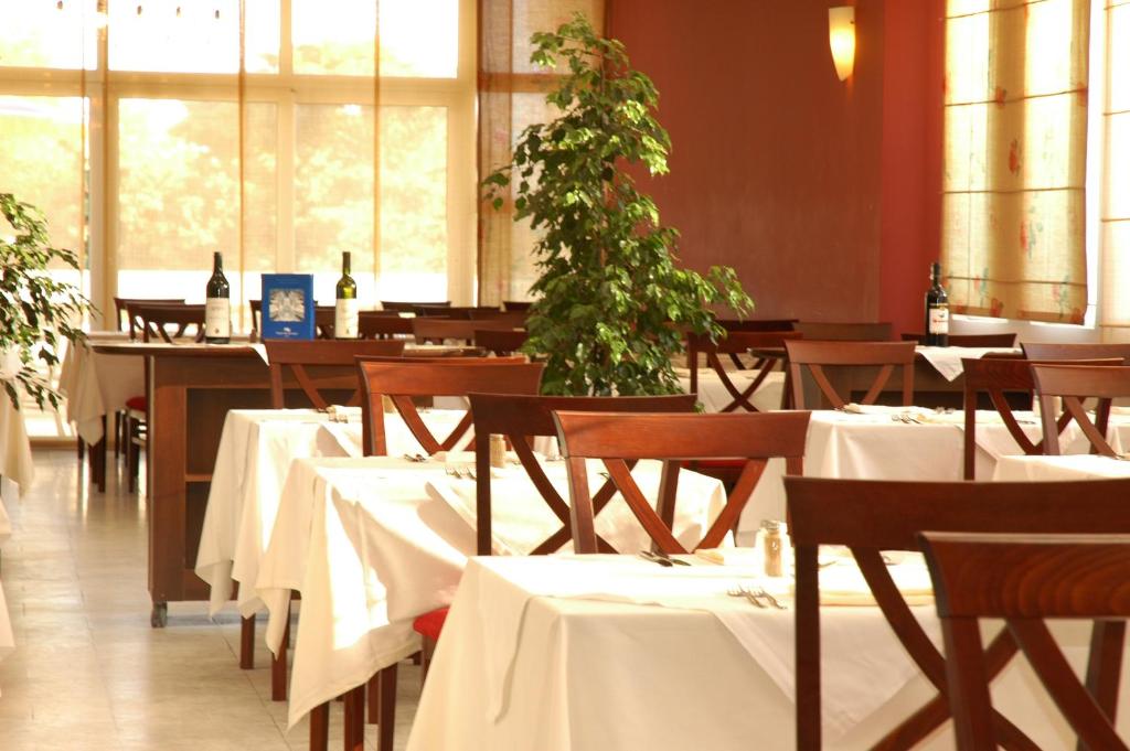 Hotel Montenegro - 17