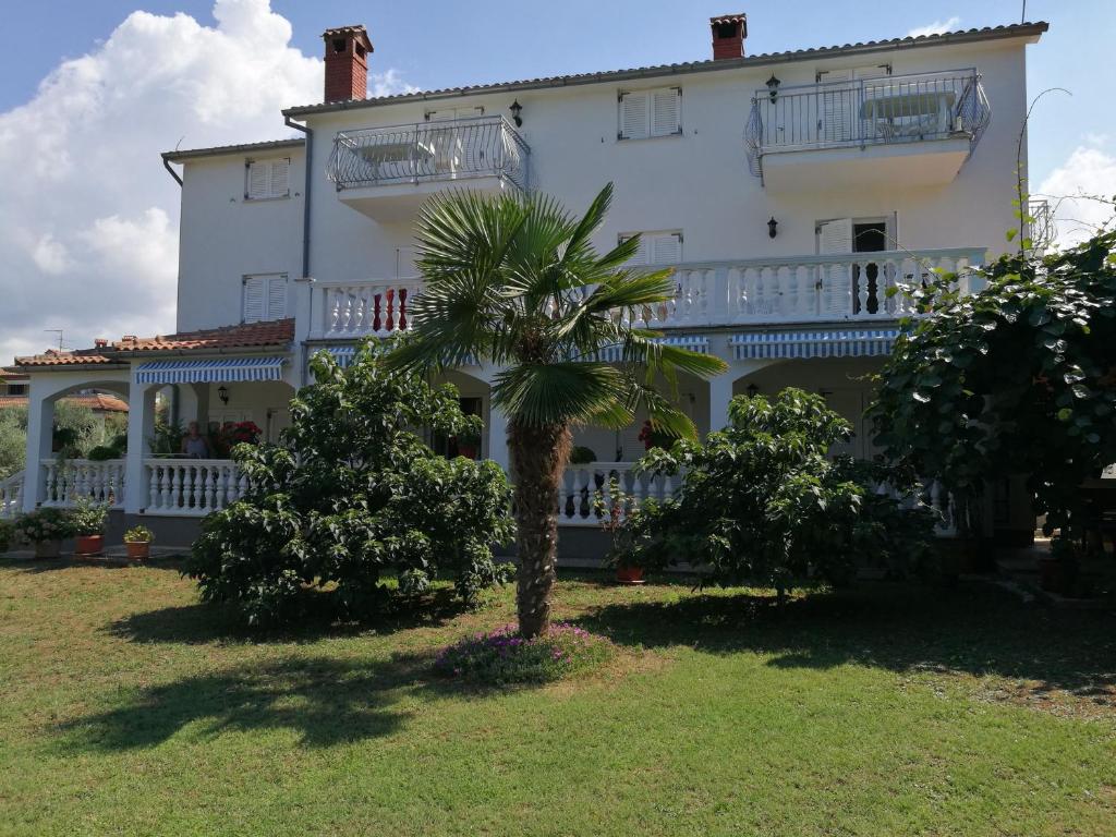 a large white house with a palm tree in front of it at Apartment Coskovic in Rošini
