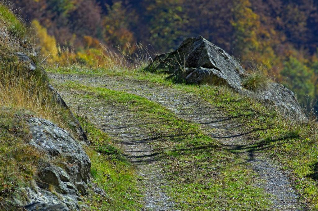 Paesaggio naturale nelle vicinanze dell'affittacamere
