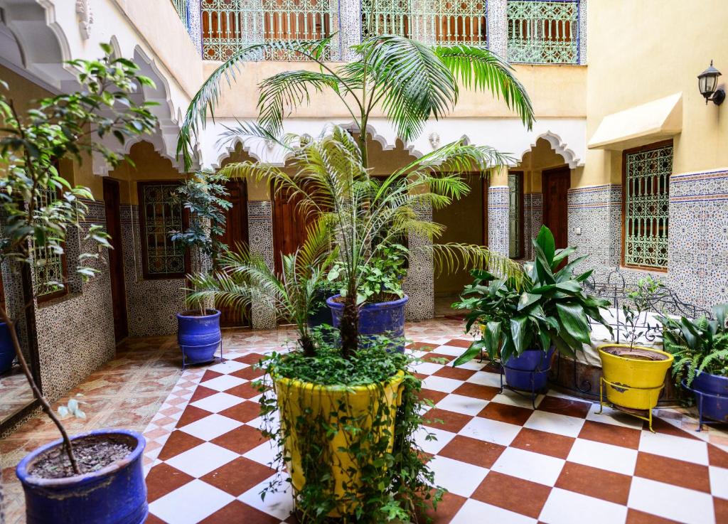 Un patio con plantas en macetas sobre un suelo a cuadros. en Hôtel Faouzi, en Marrakech