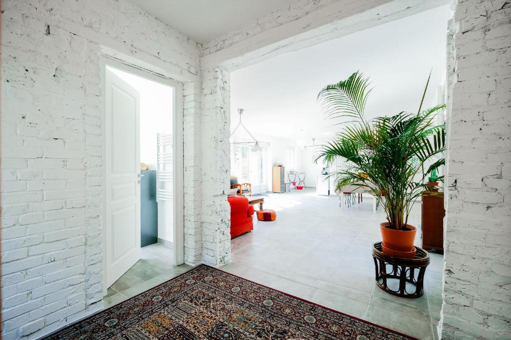 a white room with a potted plant on the floor at La Maison du Parc Affaires et Tourisme in Crépy-en-Valois