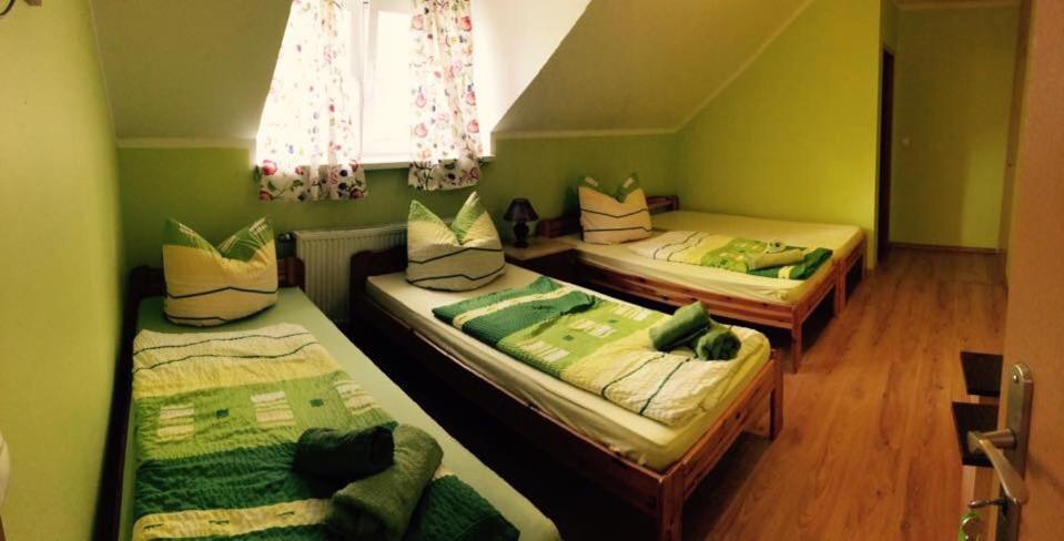 drie bedden in een kamer met groene muren bij Agroturystyka Nad Stawem in Centawa