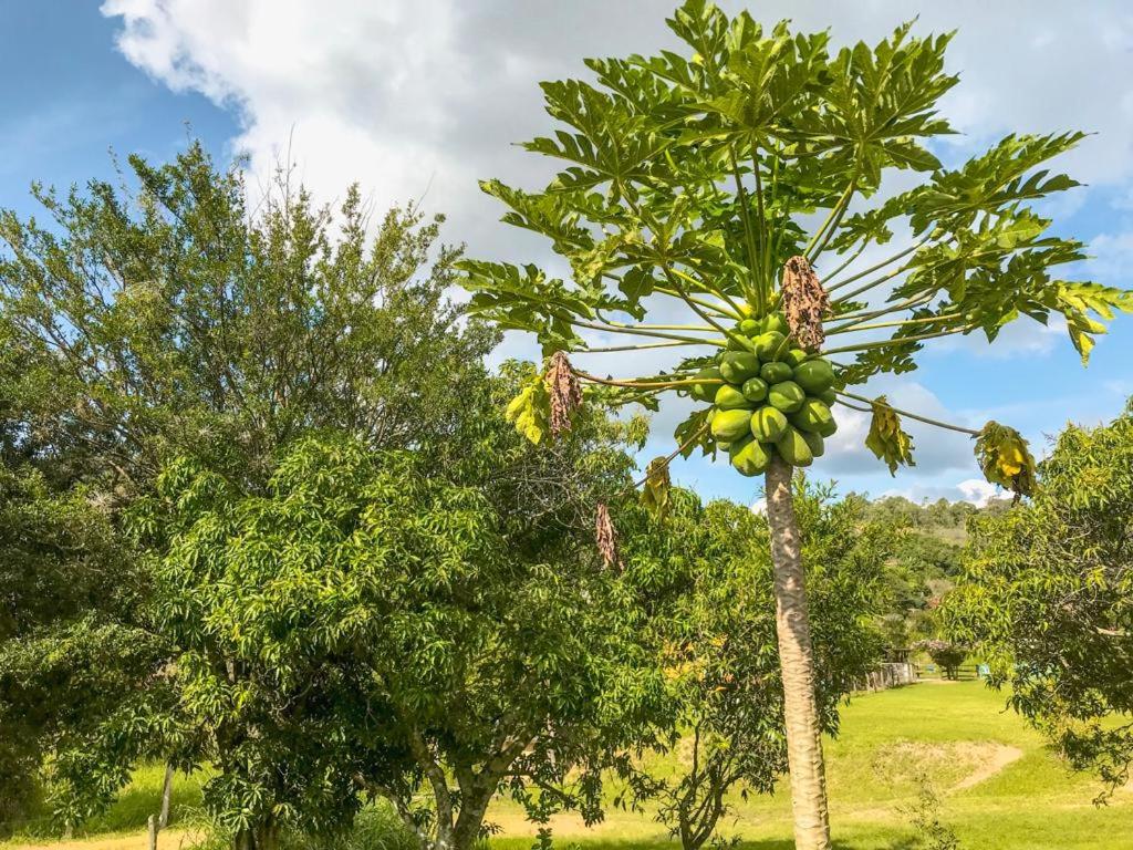  Fazenda Paisagem Chalés