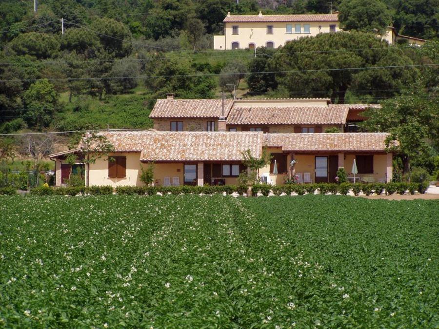 a house in the middle of a field of flowers at Agriturismo Casale del Contadino in Bolsena