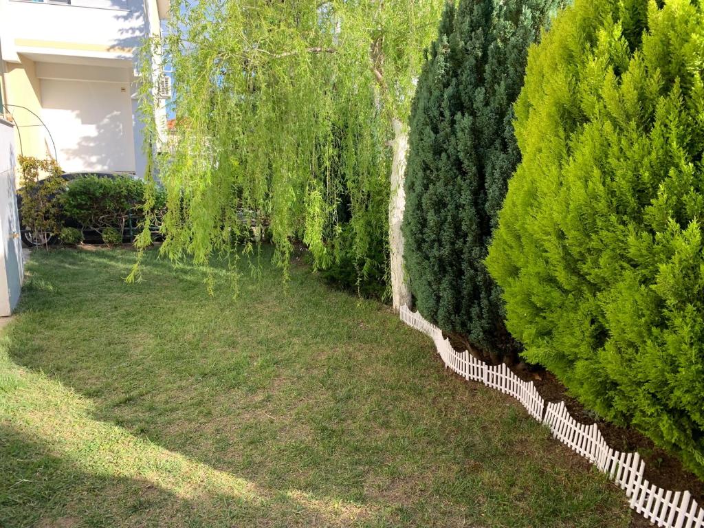 Vonkajšia záhrada v ubytovaní KMD House