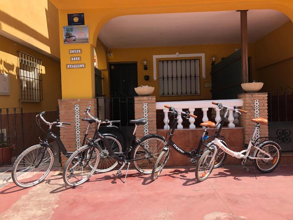 Jazda na bicykli v okolí ubytovania Aunt Antonia Beach House