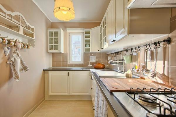 Kuchyň nebo kuchyňský kout v ubytování Apartman Turk