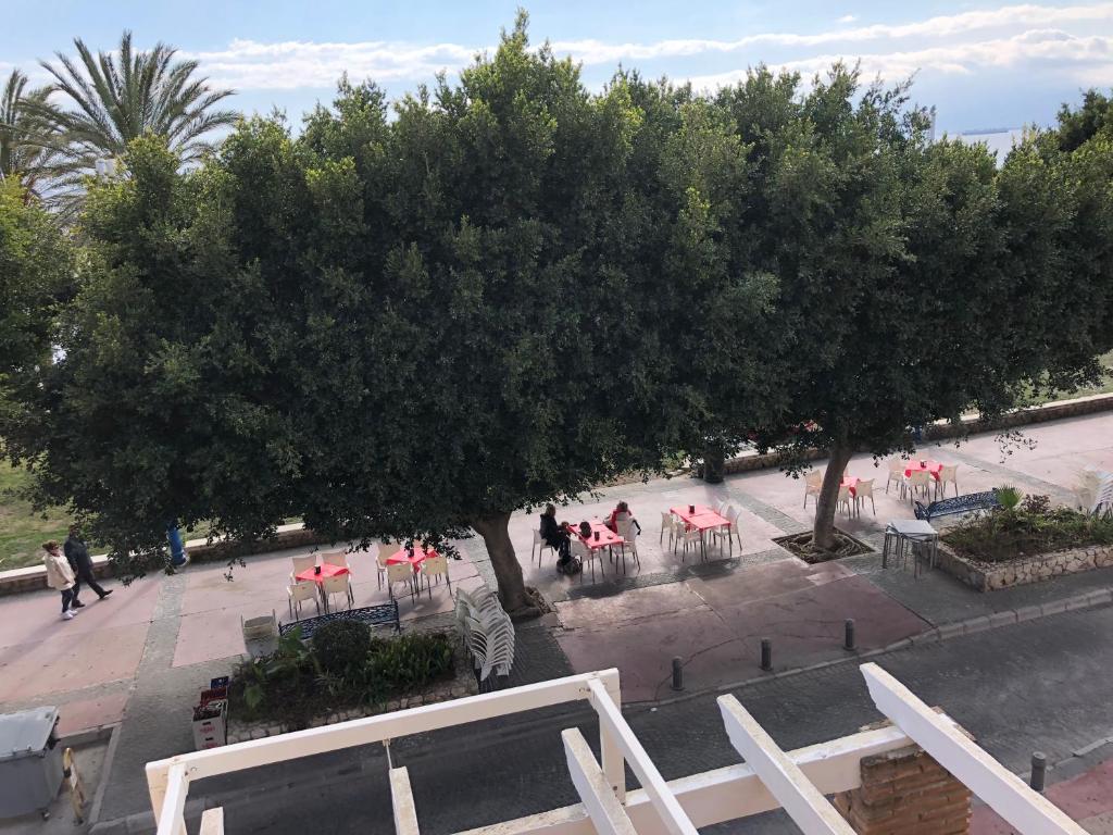 Aunt Antonia Beach House - 9