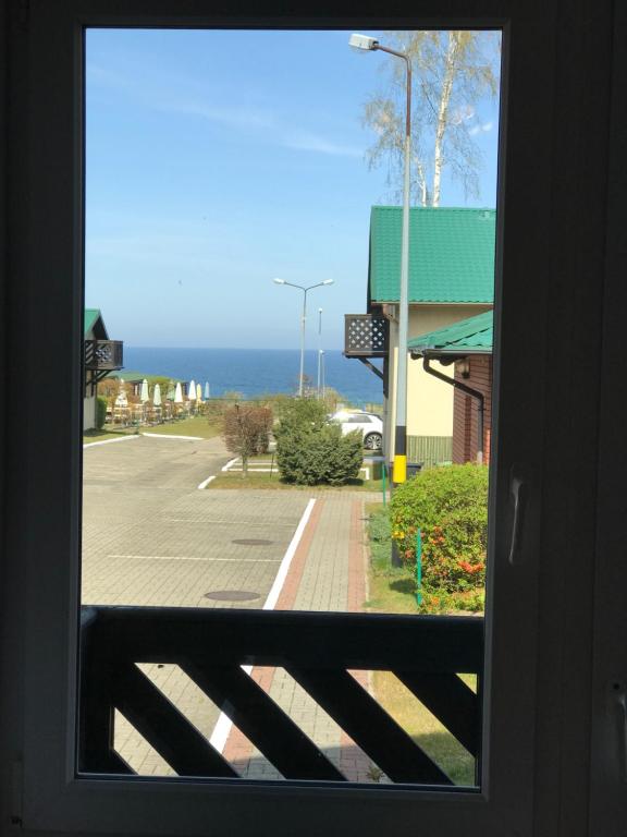 Róża Wiatrów - 16