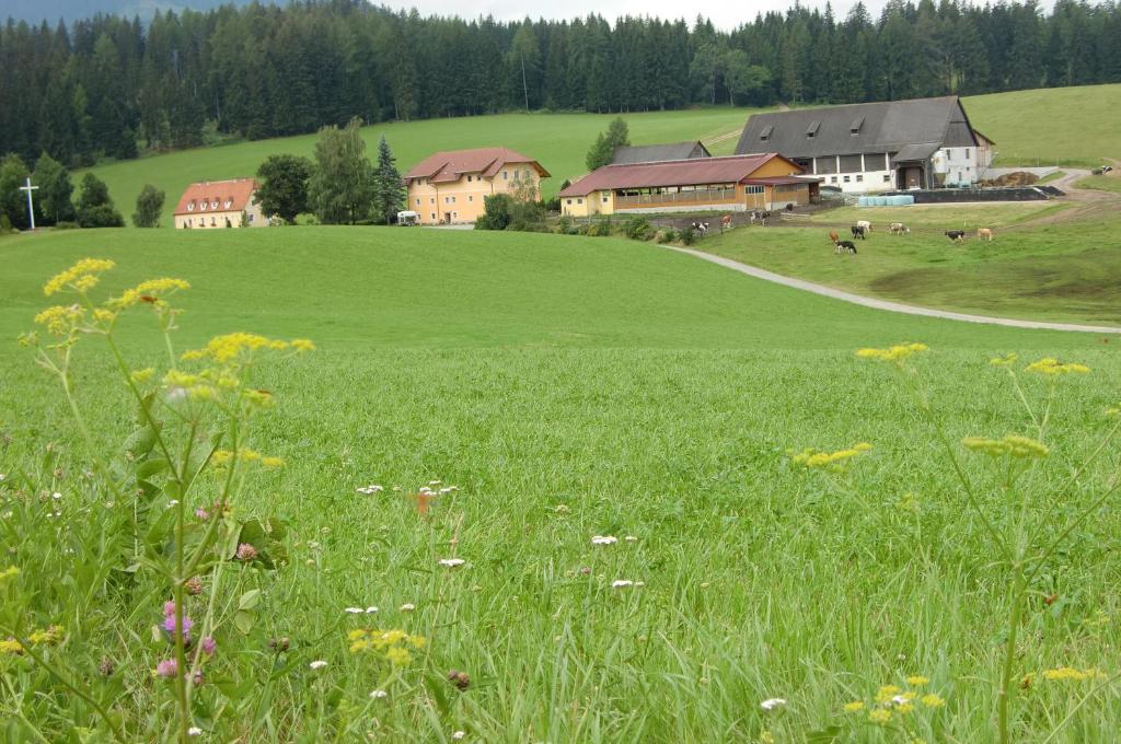 ein Grüngrasfeld mit Häusern im Hintergrund in der Unterkunft Ferienhaus Wohleser in Mariahof
