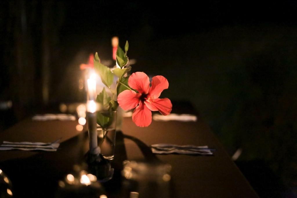 Fotografie z fotogalerie ubytování Pacuare River Lodge v destinaci Bajo Tigre