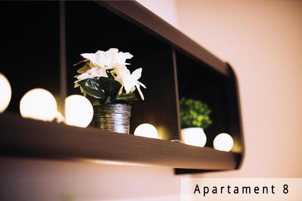 Willa przy Czarnej Bramie - Appartement