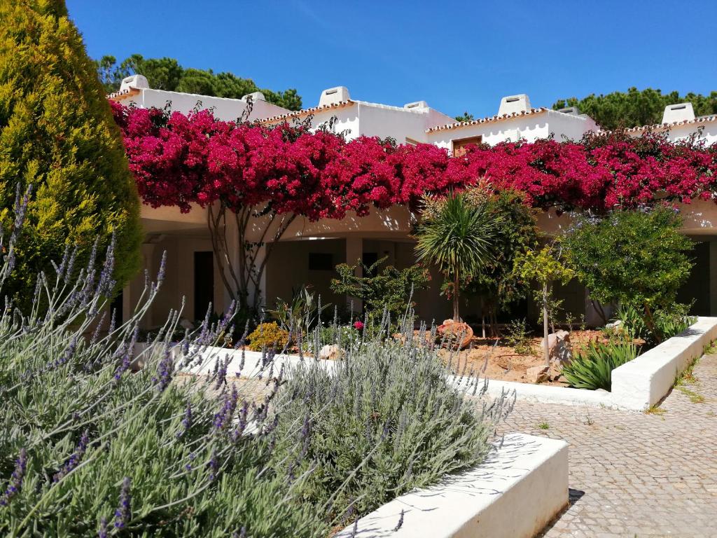 a house with pink flowers on the side of it at Apartamento Passarinhos in Albufeira