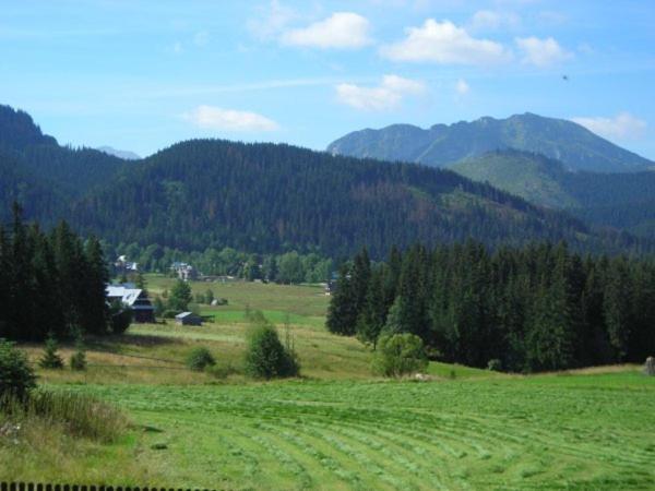 Príroda v okolí apartmánu