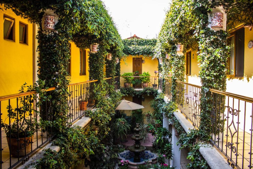 a building with a bunch of plants growing out of it at Hotel Dainzu in Oaxaca City
