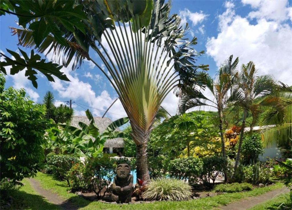 un palmier et une statue dans un jardin dans l'établissement Pension De La Plage, à Punaauia