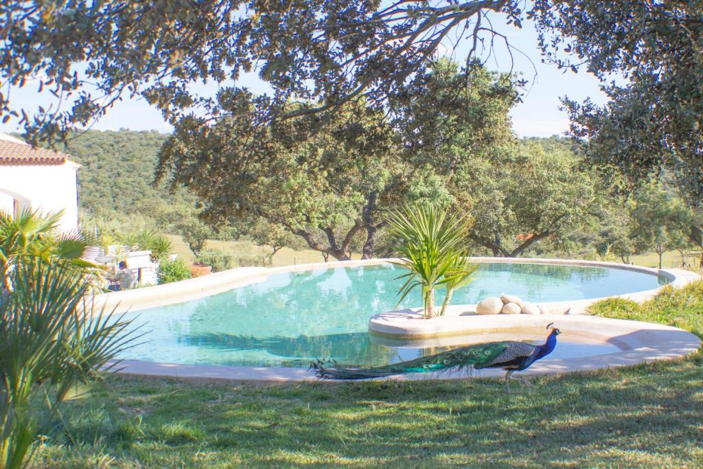 Casas y chalets Sierra hornachos en Hornachos, Extremadura