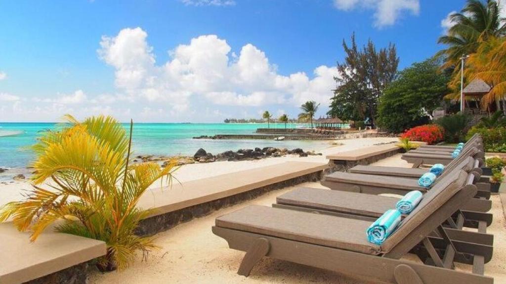 a row of benches on a beach with the ocean at Beach Apartment - Trou aux Biches - Ground Floor in Mont Choisy