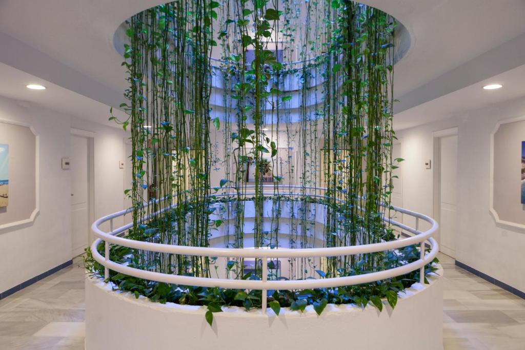 Fotografie z fotogalerie ubytování Hotel Helios Costa Tropical v destinaci Almuñécar
