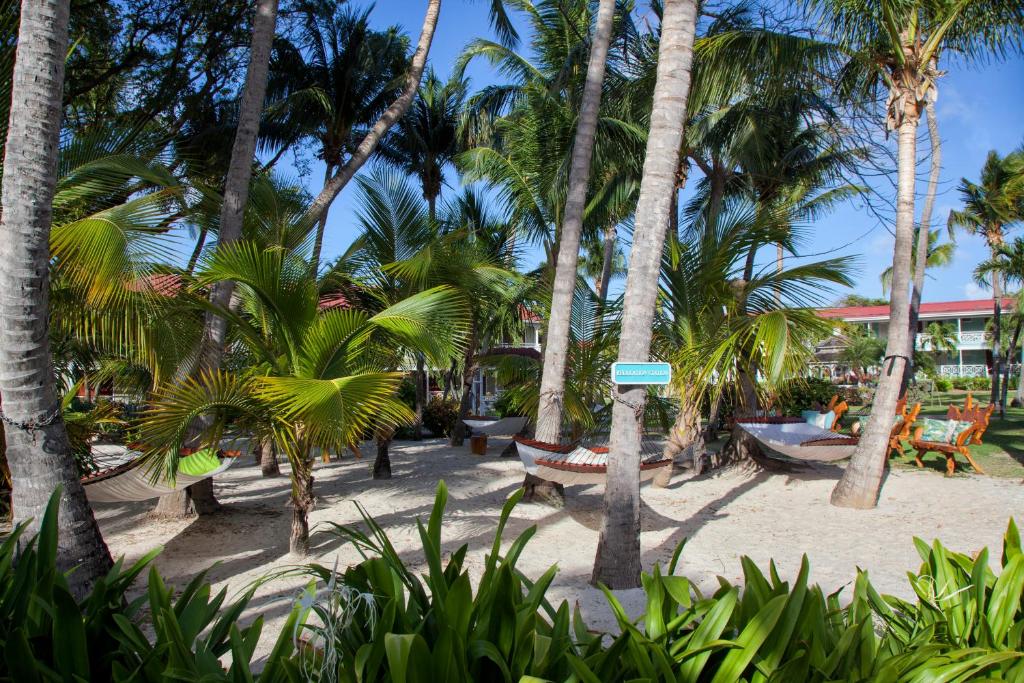 Zahrada ubytování Pineapple Beach Club - All Inclusive - Adults Only