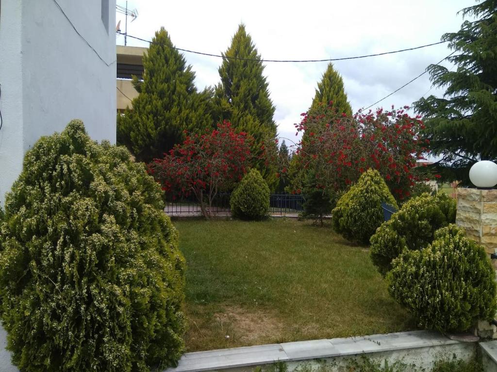 Zahrada ubytování Posidi Holidays Apartments